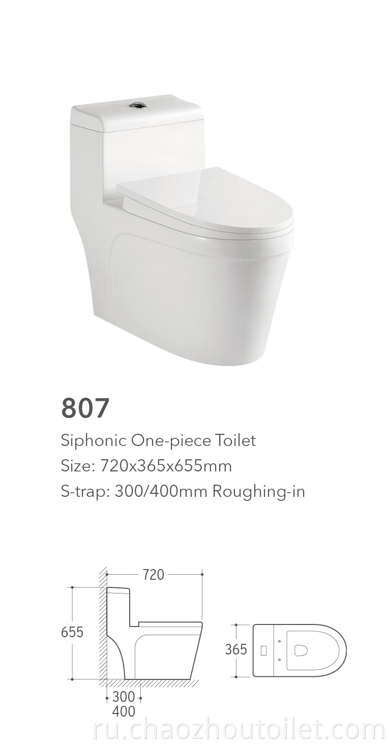 807 One Piece Toilet